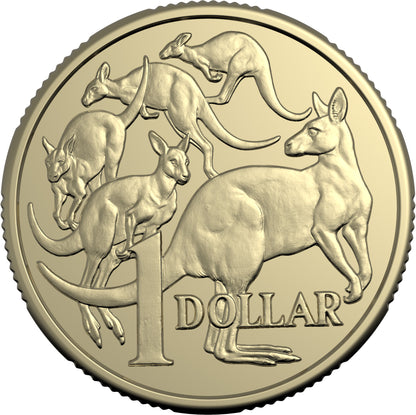 2025 $1 King Charles III Obverse NON PREMIUM Roll