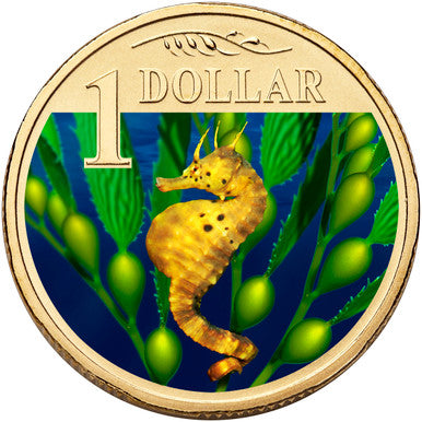 2007 $1 Ocean Series Bigbelly Seahorse Coloured Uncirculated Coin