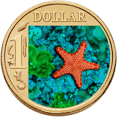2007 $1 Ocean Series Biscuit Star Coloured Uncirculated Coin