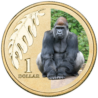 2012 $1 Animals of The Zoo Western Lowland Gorilla Coloured Uncirculated Coin