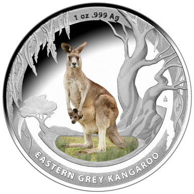2013 Kangaroos of The World Silver Proof 2 Coin Set