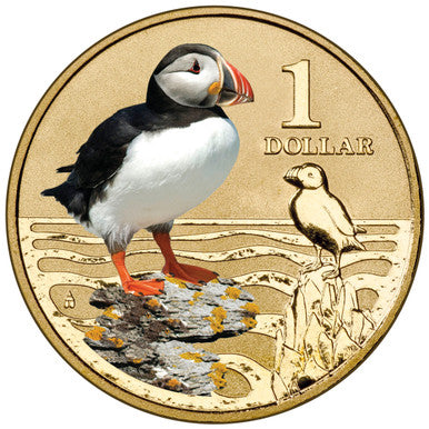 2013 $1 Polar Series Atlantic Puffin Coloured Uncirculated Coin