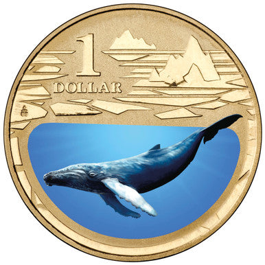 2013 $1 Polar Series Humpback Whale Coloured Uncirculated Coin
