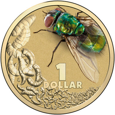 2014 $1 Bright Bug Blow Fly Coloured Uncirculated Coin