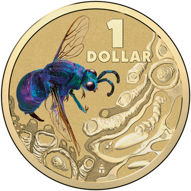 2014 $1 Bright Bug Cuckoo Wasp Coloured Uncirculated Coin