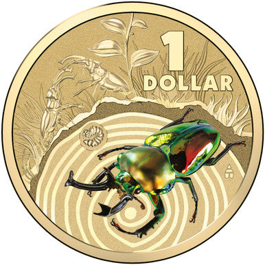 2014 $1 Bright Bugs Stag Beetle Coloured Uncirculated Coin