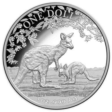 2017 $1 Kangaroo Series Seasons Change 1oz Silver Proof Coin
