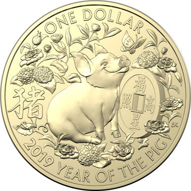 2019 $1 Year of The Pig Uncirculated 3 Coin Set