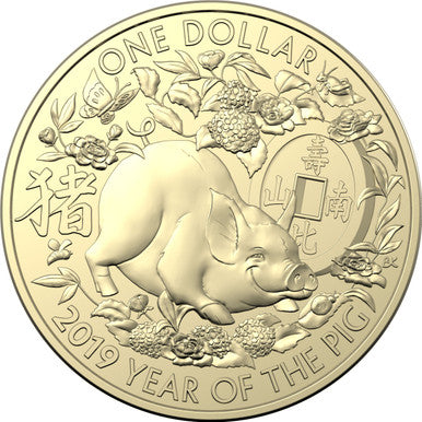 2019 $1 Year of The Pig Uncirculated 3 Coin Set