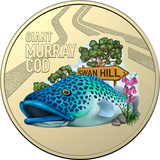2023 $1 Aussie Big Things Giant Murray Cod Coloured Uncirculated Coin