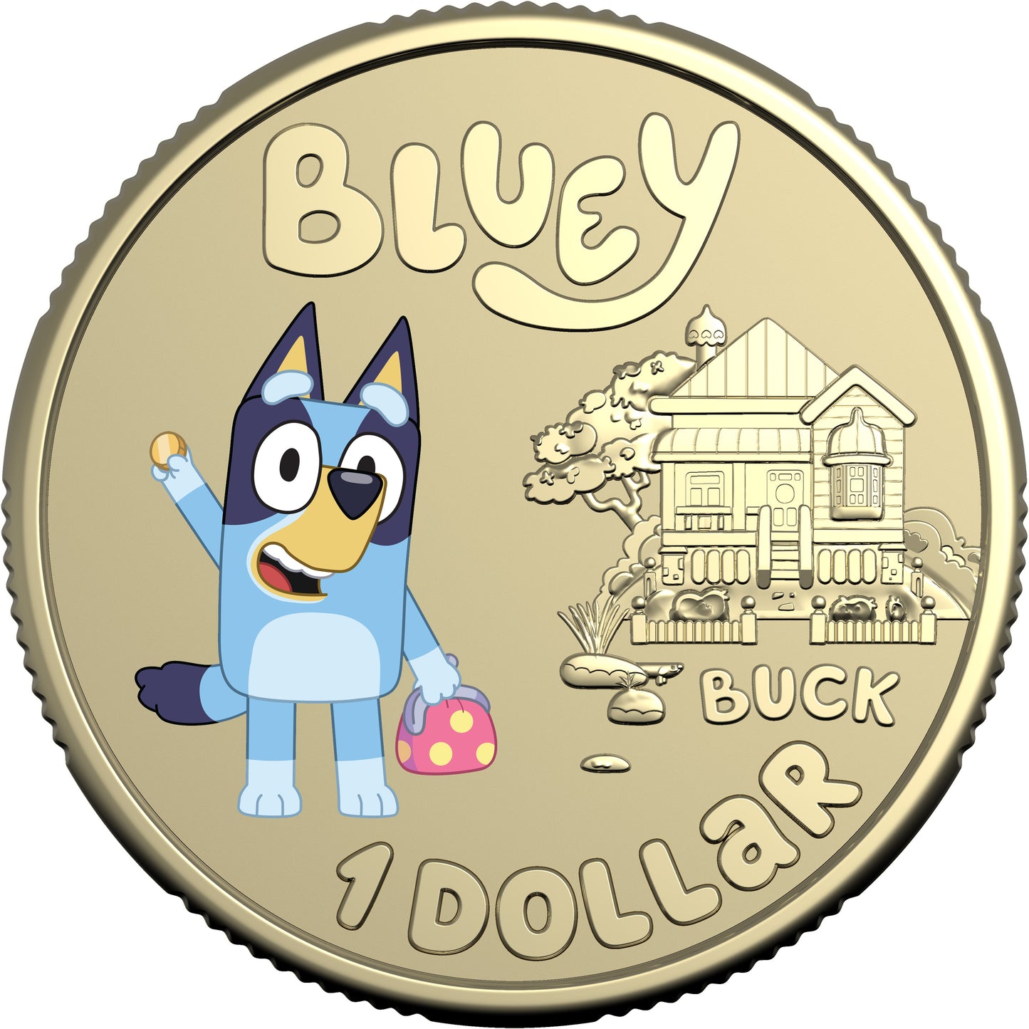 2024 $1 Bluey Dollarbucks Coloured Uncirculated Coin