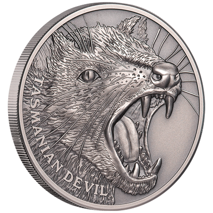 Niue 2019 $1 Wildlife Tasmanian Devil 1oz Silver Antiqued Coin