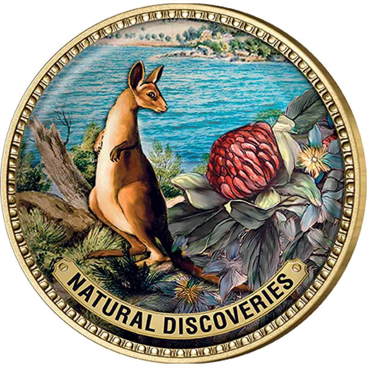 Captain Cook Gold Plated Enamel Penny 9 Coin Collection