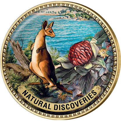 Captain Cook Gold Plated Enamel Penny 9 Coin Collection