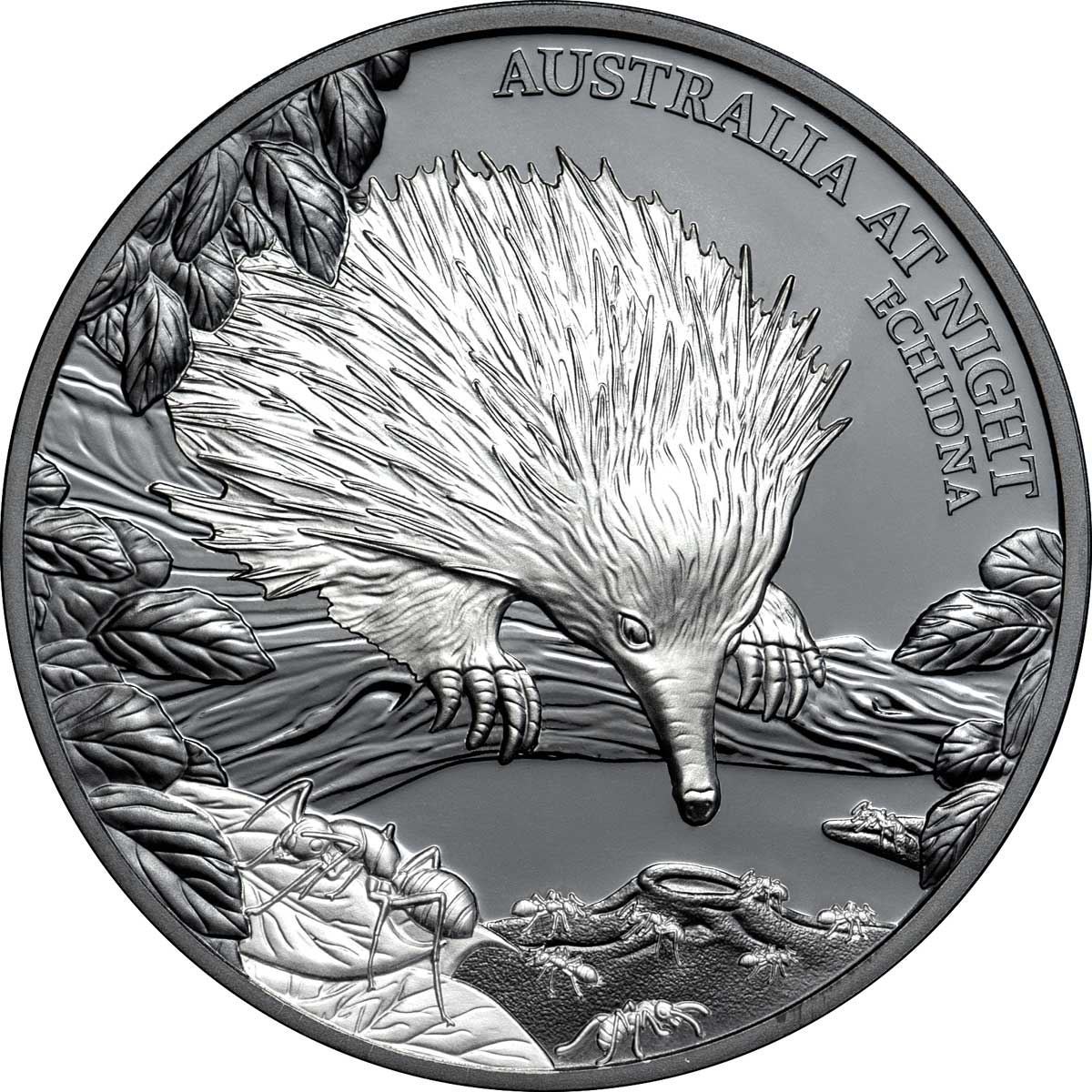 Niue 2020 $1 Australia at Night Echidna 1oz Silver Black Proof Coin