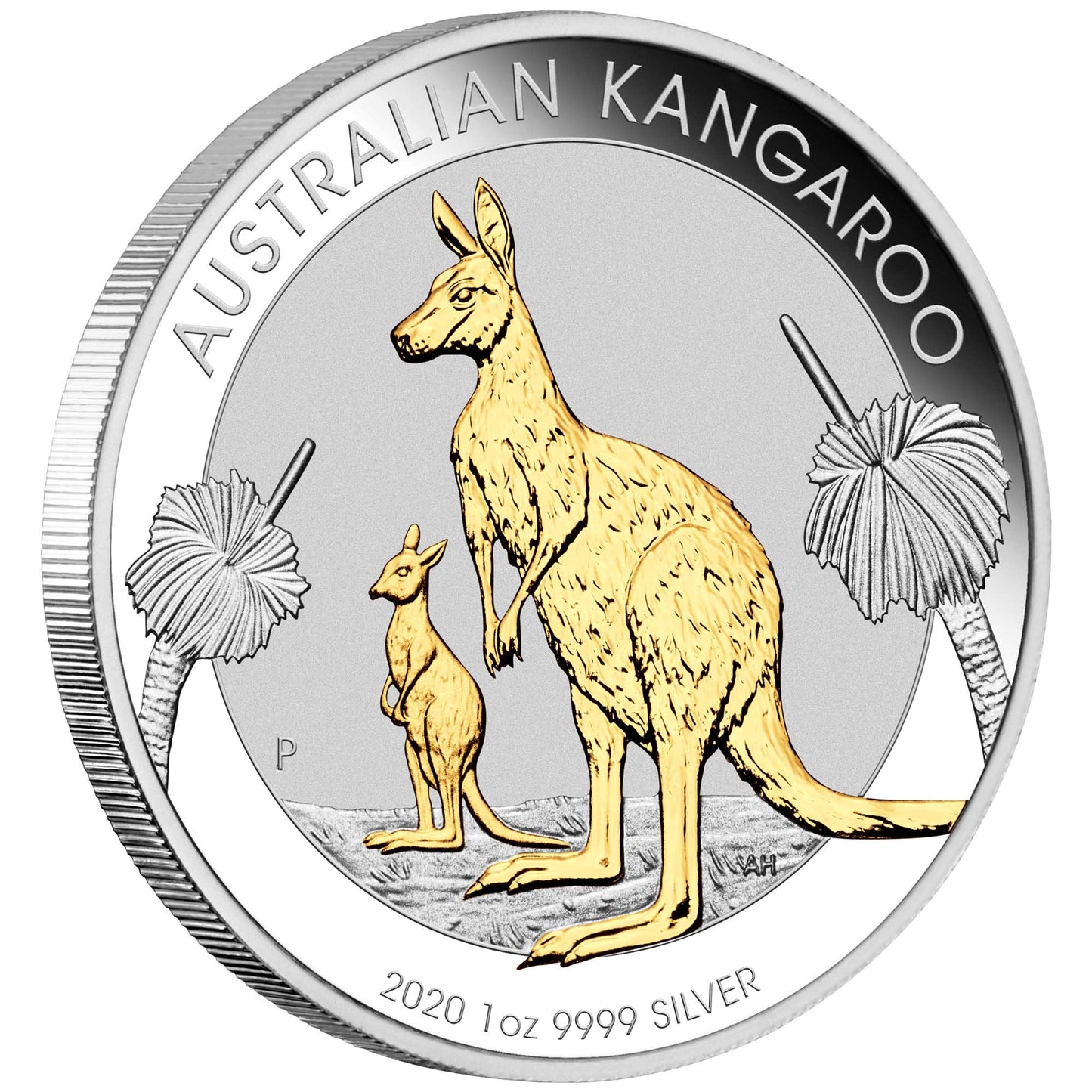2020 $1 Australian Kangaroo 1oz Silver Gilded Coin
