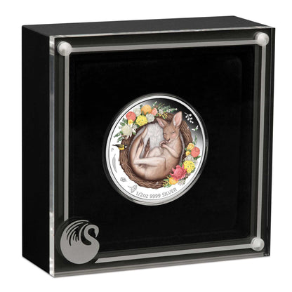2021 50c Dreaming Down Under Kangaroo 1/2oz Silver Coloured Proof Coin