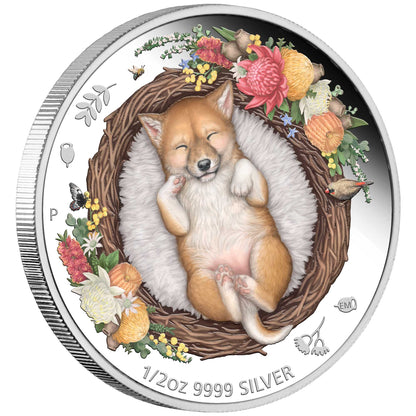 2021 50c Dreaming Down Under Dingo 1/2oz Silver Coloured Proof Coin
