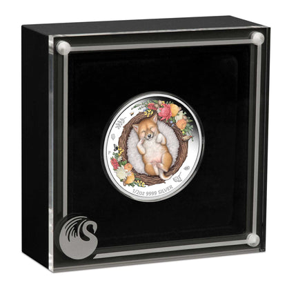 2021 50c Dreaming Down Under Dingo 1/2oz Silver Coloured Proof Coin