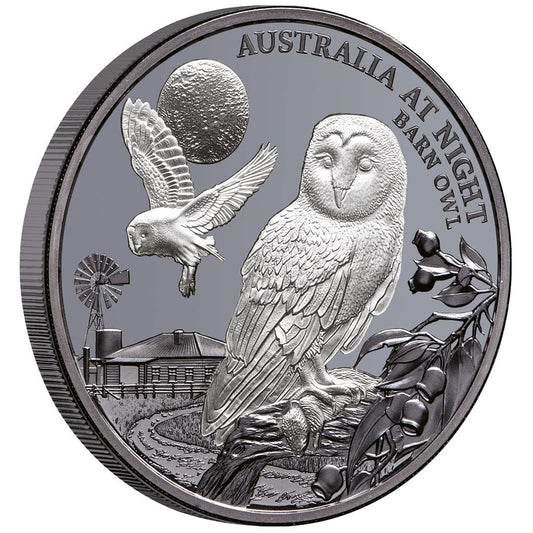 Niue 2022 $1 Australia At Night Barn Owl 1oz Silver Black Proof Coin