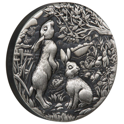 2023 $2 Lunar Year of The Rabbit 2oz Silver Antiqued Coin