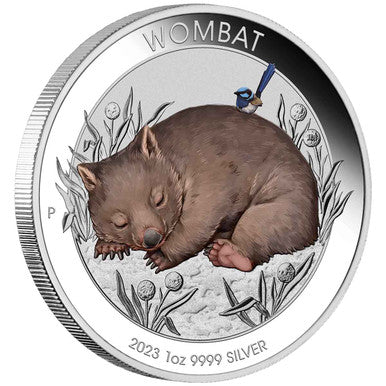 2023 Wombat $1 Colour 1oz Silver Brilliant Uncirculated Coin
