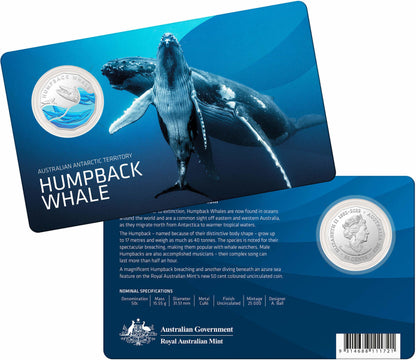 2023 50c Australian Antarctic Territory Humpback Whale Coloured Uncirculated Coin