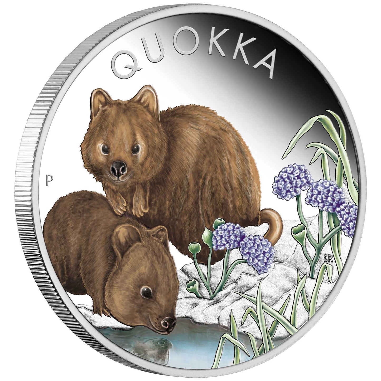 2023 $1 Quokka 1oz Silver Coloured Proof Coin