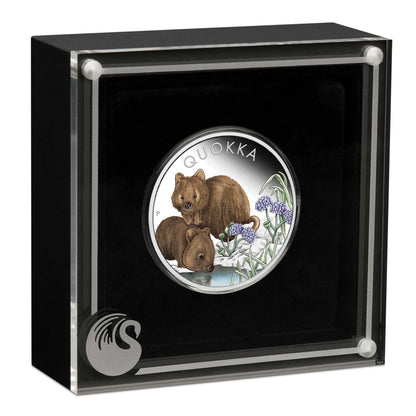 2023 $1 Quokka 1oz Silver Coloured Proof Coin