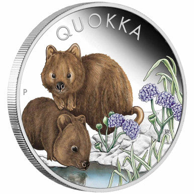 2023 Quokka 1oz Silver Proof Coloured Coin