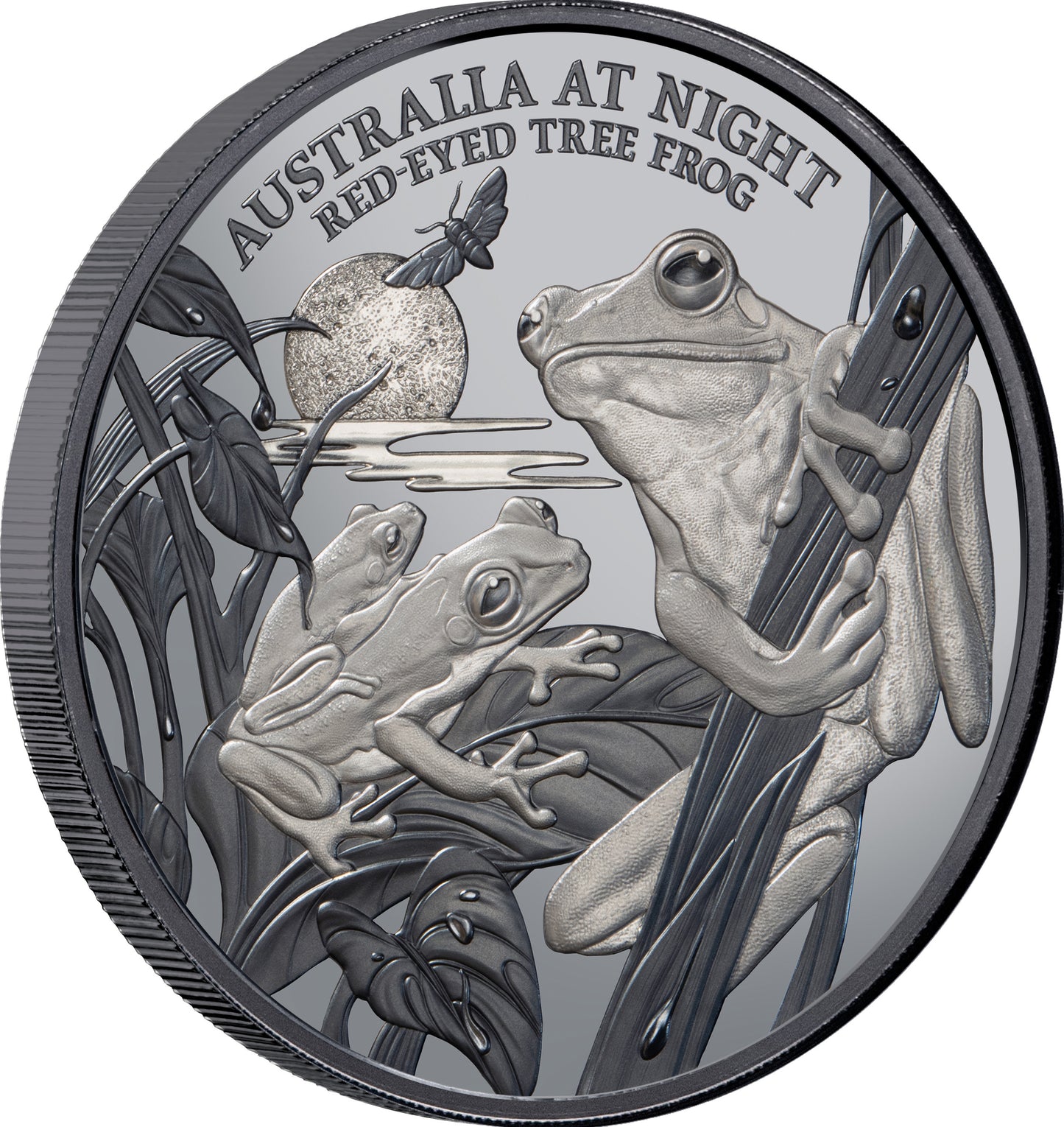 Niue 2024 $1 Australia at Night Red-Eyed Tree Frog 1oz Silver Black Proof Coin