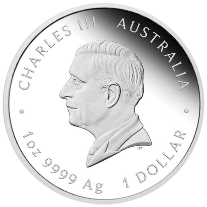 2024 $1 One Love 1oz Silver Proof Coin