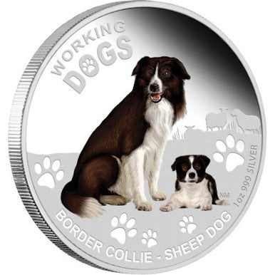 Tuvalu 2011 $1 Working Dogs Border Collie Sheep Dog 1oz Silver Coloured Proof Coin