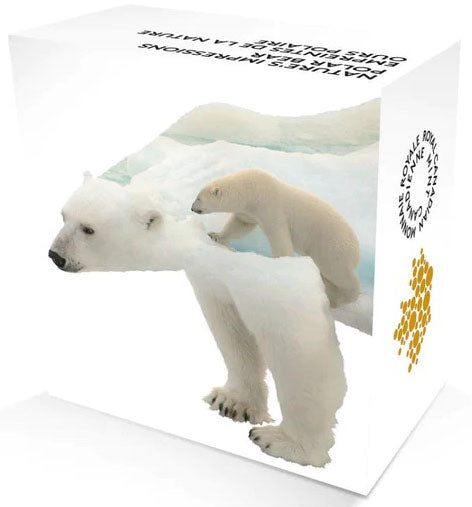 Canada 2017 $20 Nature's Impressions Polar Bear 1oz Silver Proof