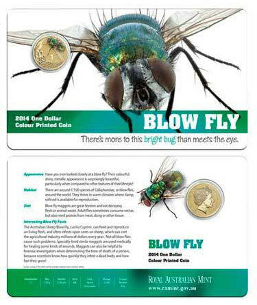 2014 $1 Bright Bug Blow Fly Coloured Uncirculated Coin