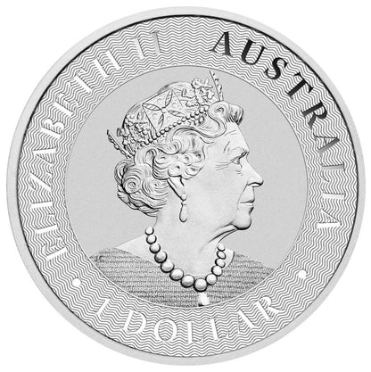 2019 $1 Australian Kangaroo 1oz Silver BU Coin