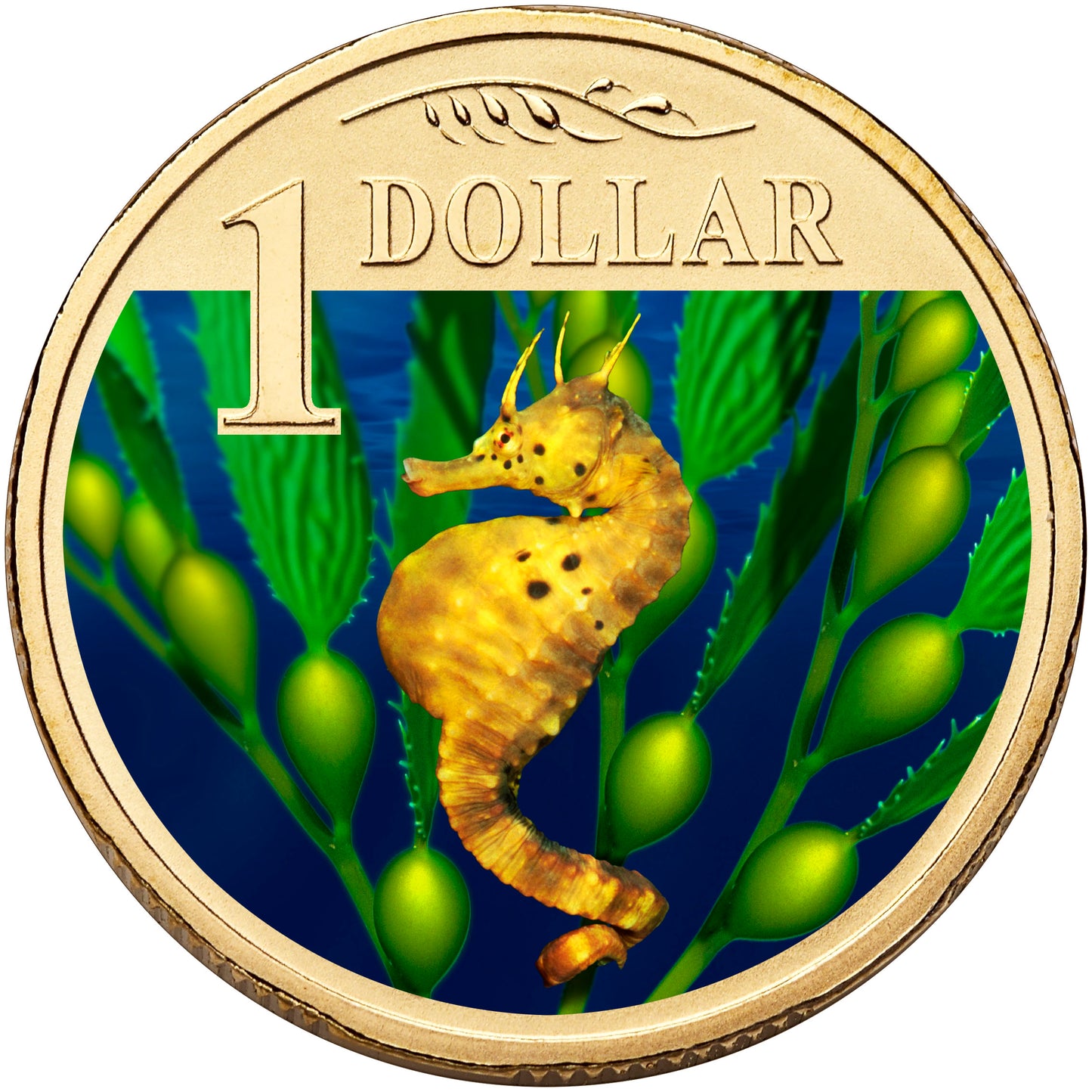 2007 $1 Ocean Series Bigbelly Seahorse Coloured Uncirculated Coin