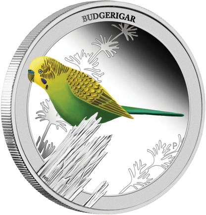 2013 50c Birds of Australia Budgerigar 1/2oz Silver Coloured Proof Coin