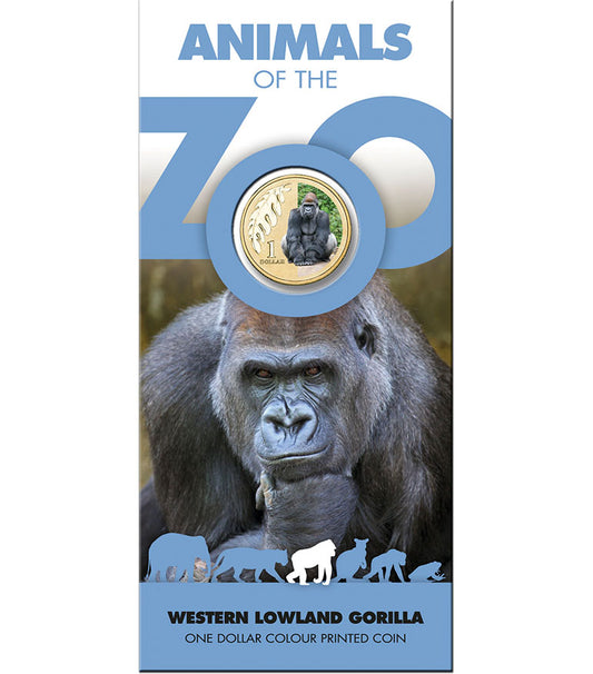 2012 $1 Animals of The Zoo Western Lowland Gorilla Coloured Uncirculated Coin