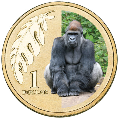 2012 $1 Animals of The Zoo Western Lowland Gorilla Coloured Uncirculated Coin