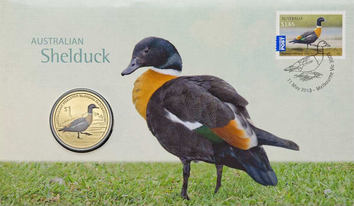 2013 $1 Australian Bird Shelduck PNC