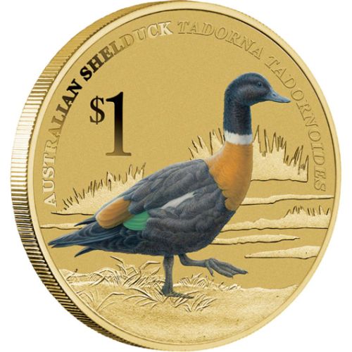 2013 $1 Australian Bird Shelduck PNC