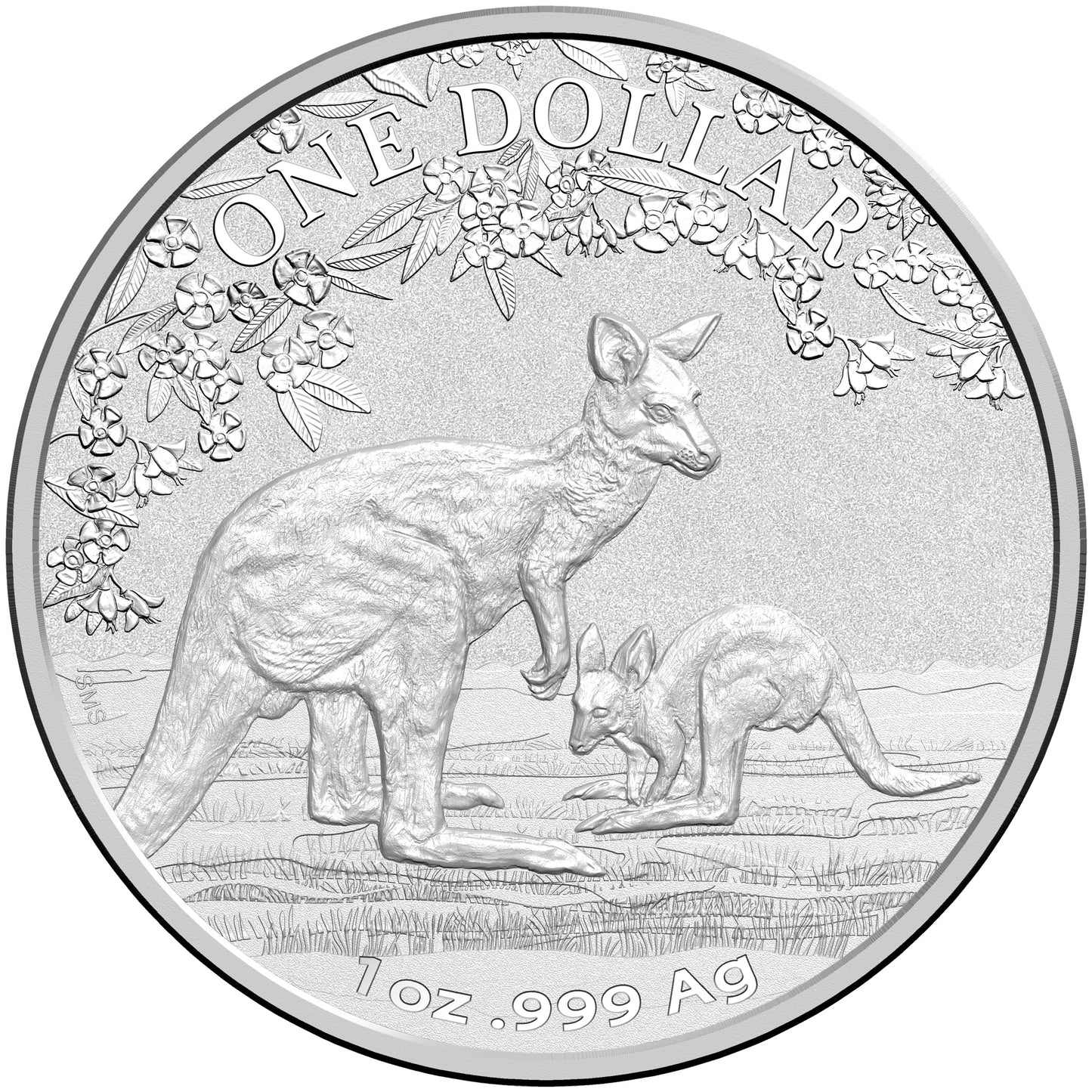 2017 $1 Kangaroo Seasons Change 1oz Silver Uncirculated Coin