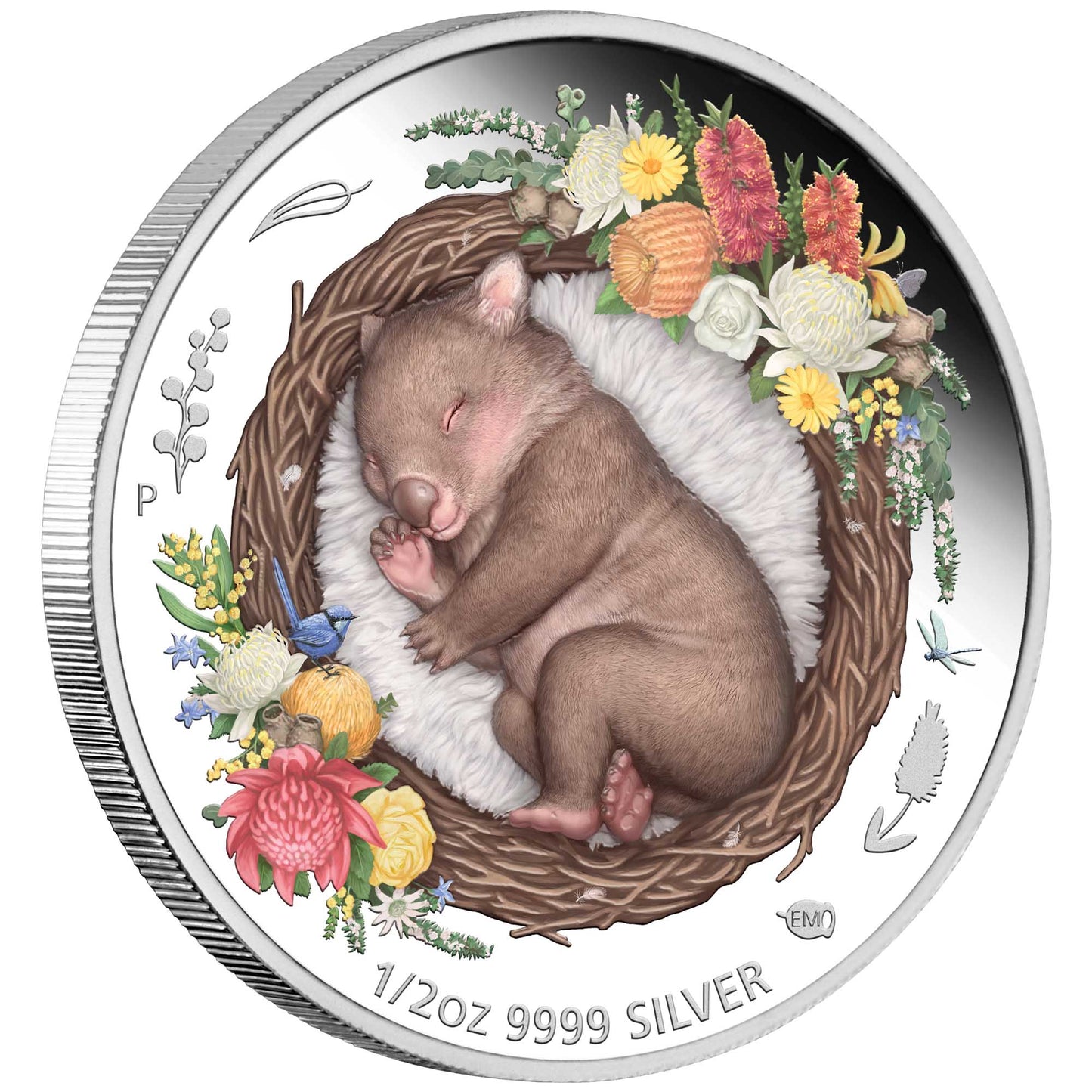 2021 50c Dreaming Down Under Wombat 1/2oz Silver Coloured Proof Coin