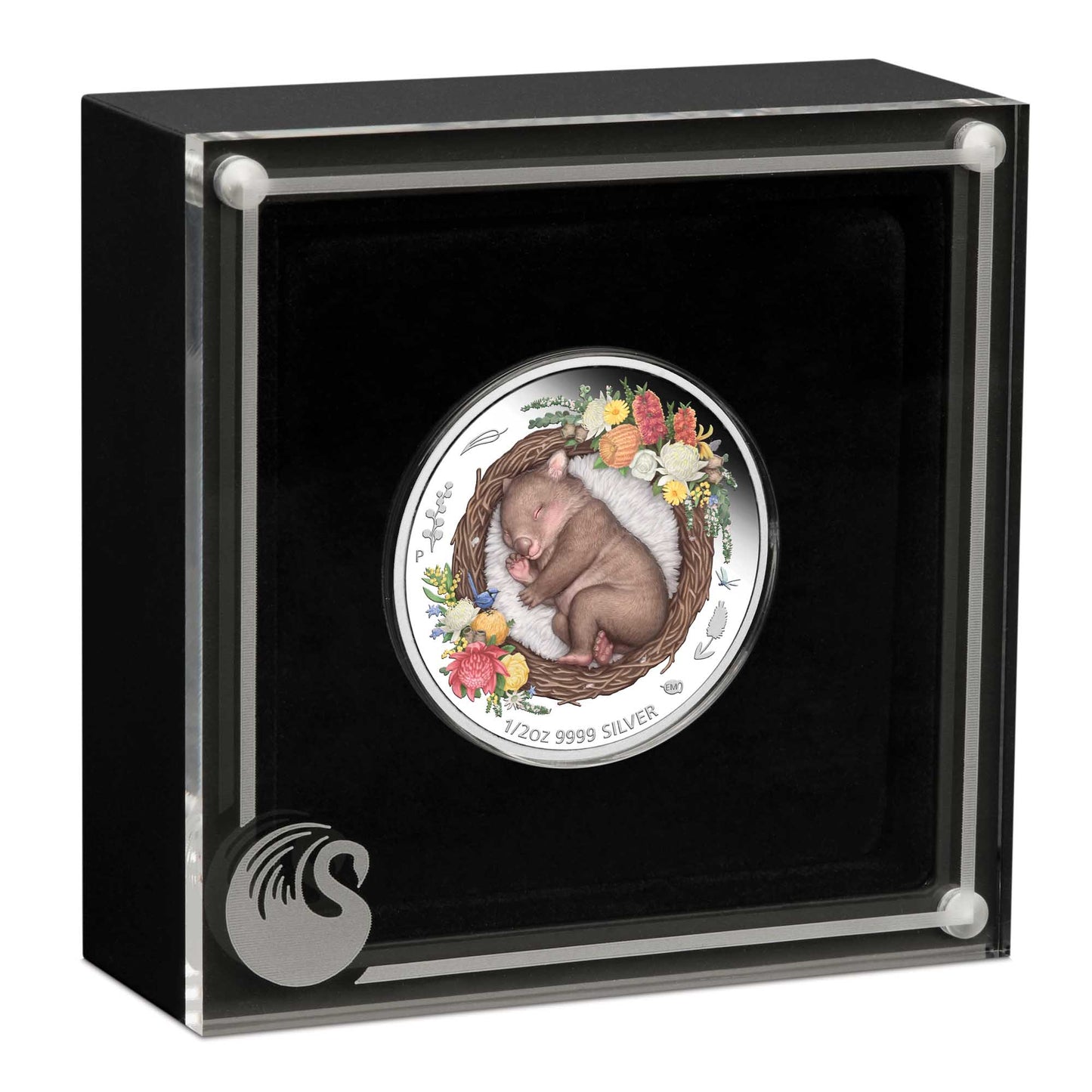 2021 50c Dreaming Down Under Wombat 1/2oz Silver Coloured Proof Coin