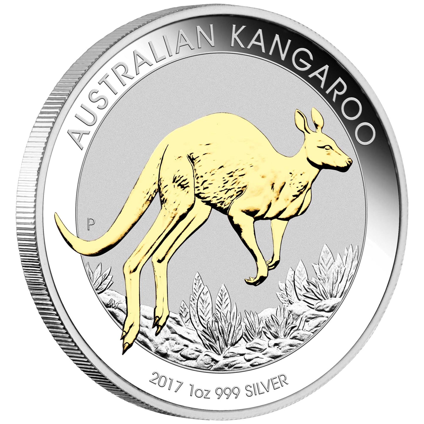 2017 $1 Australian Kangaroo 1oz Silver Gilded Coin