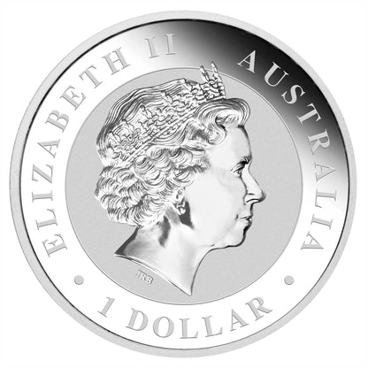 2017 $1 Australian Kangaroo 1oz Silver Gilded Coin