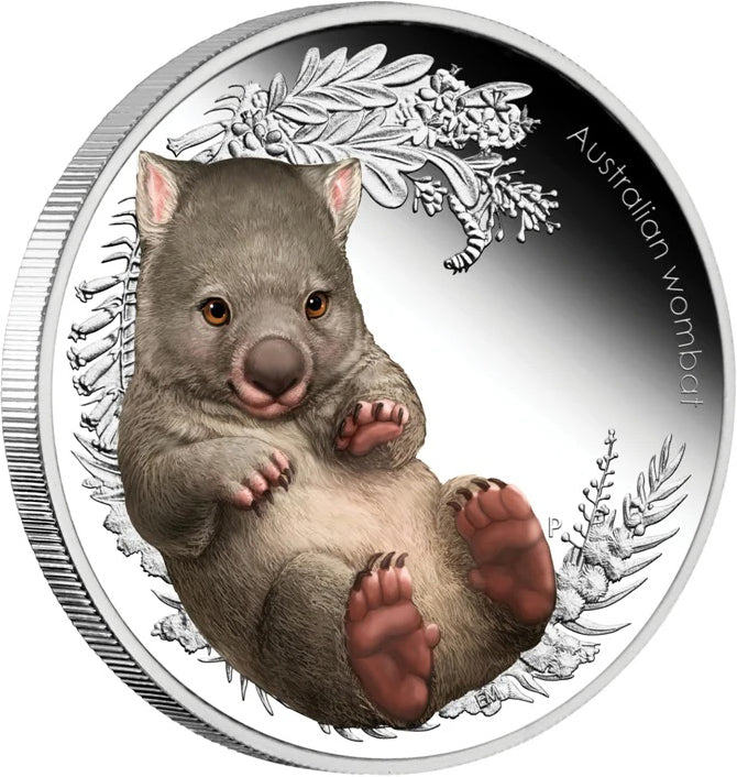 2013 50c Australian Bush Babies II Wombat 1/2oz Silver Coloured Proof Coin