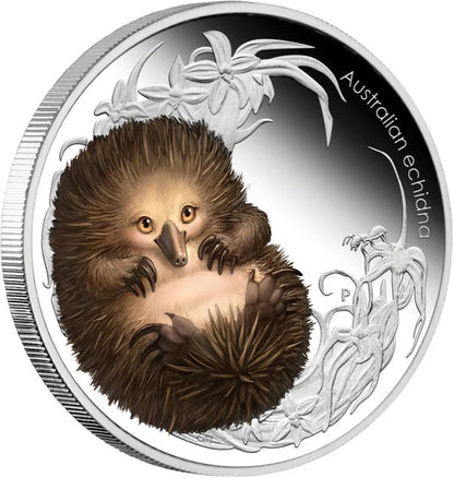 2013 50c Australian Bush Babies II Echidna 1/2oz Silver Coloured Proof Coin