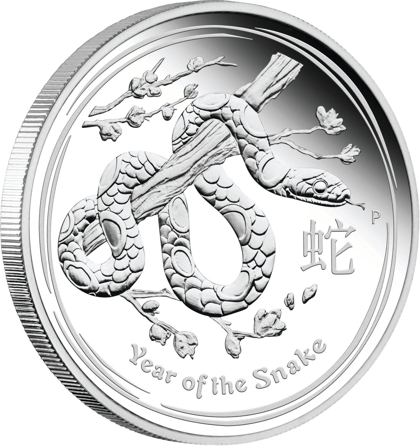 2013 50c Lunar Year of The Snake 1/2oz Silver Proof Coin